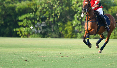 Polo player is using polo mallet