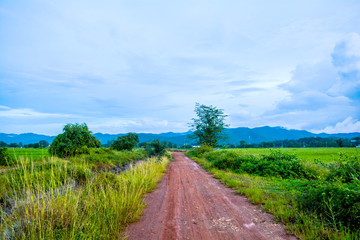 Fototapeta na wymiar country road in north Thailand