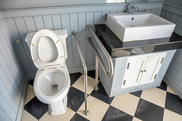 Bathroom or Toilet for disabled person.