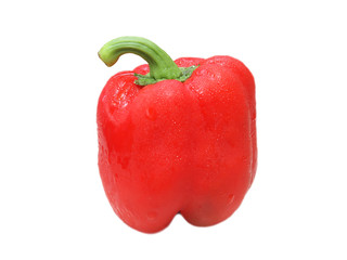 Bell pepper / Isolated white