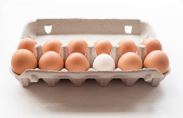 11 brown eggs and 1 white egg in cardboard box - odd one out (selective focus)