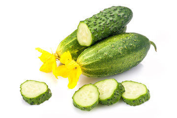 Cucumber