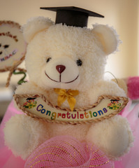 White teddy bear doll with congratulations for graduate