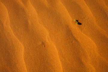 Sand textures, Sturts Stony Desert