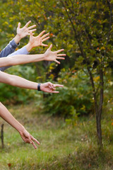 lot of children s hands reach  forming a circle