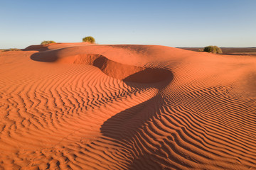Naklejka premium sand dune textures, Sturts Stony Desert