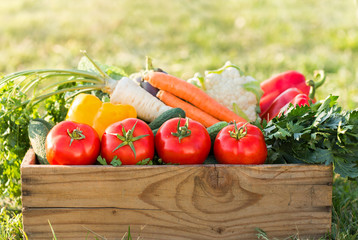fresh, organic vegetables
