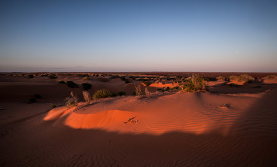 Fototapeta na wymiar Sturts Stony Desert