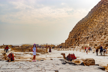 Girl near camel and the pyramid in Cairo, Egypt