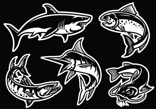 collection of fish in black and white