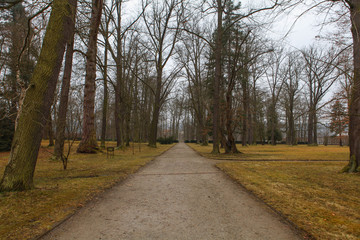 Spring Garden