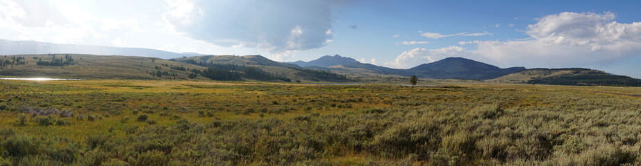 Yellowstone National park at sunrise