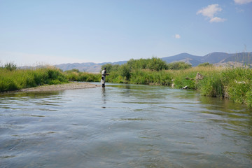 Fototapeta na wymiar Fly fisherman fishing in river of Montana state