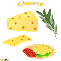 Cheese in realistic style isolated on white background. Cheese sandwich. Cheese, sliced for sandwiches on the plate. Vector illustration for recipe, menu restaurant, kitchen interior design.