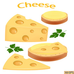 Cheese in realistic style isolated on white background. Cheese sandwich. Cheese, sliced for sandwiches on the plate. Vector illustration for recipe, menu restaurant, kitchen interior design.