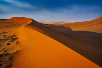 Fototapeta na wymiar Contrasting Dune in the Afternoon Sun. Namibia Desert, Namibia