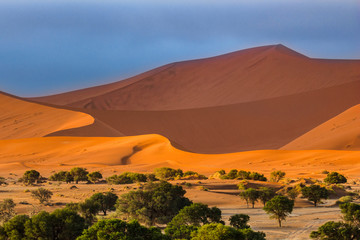 Fototapeta na wymiar Contrasting Dune in the Afternoon Sun. Namibia Desert, Namibia