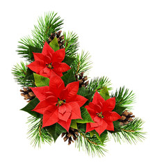 Christmas arrangement with pine twigs, cones and poinsettia flowers