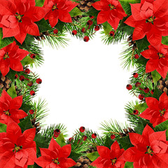Christmas frame with pine twigs, cones, berries and ponsettia flowers
