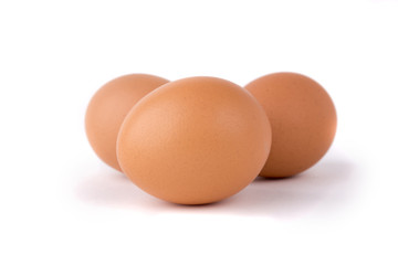 eggs on white background