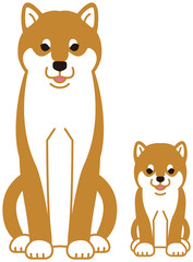柴犬の親子