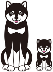 Fototapeta premium 黒柴犬の親子