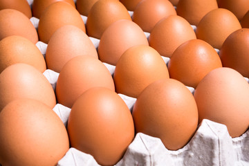 Fresh organic panel eggs on sackcloth