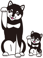 手招きする黒柴犬の親子