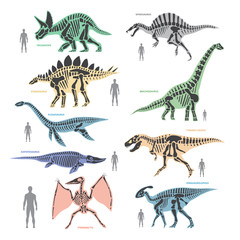 Fototapeta na wymiar Dnosaurs seletons silhouettes bone animal and jurassic monster predator dino vector flat illustration