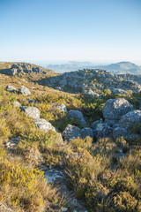 Südafrika im Frühling
