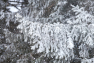 Blurred background defocus