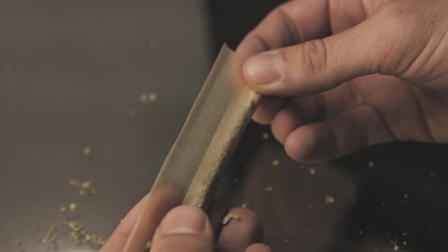 Male hands making joint blunt, rolling medical weed into cigarette paper, drug addiction