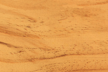 Background of wood texture closeup