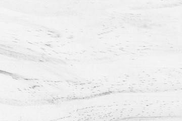 Vintage white light Background of wood texture closeup