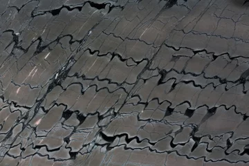 Fotobehang Grey quartzite stone texture close up. Seamless square background, tile ready. © Dmytro Synelnychenko