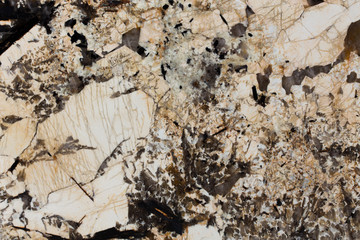 Surface stone as the color patterned.