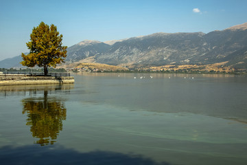 Landscape of a lake