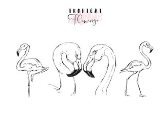 Hand drawn vector graphic exotic paradise birds flamingo illustration collection set isolated on white background.Wedding,anniversary,birthday,valentines day,save the date,kids coloring book,sign