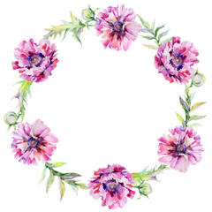 Wildflower poppy flower wreath in a watercolor style. Full name of the plant: pink poppy. Aquarelle wild flower for background, texture, wrapper pattern, frame or border.