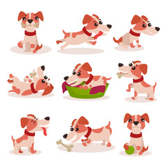 Cute jack russell terrier characters set, funny dog in different poses and situations vector Illustrations