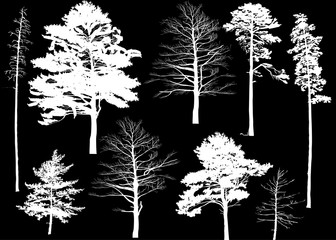 nine trees silhouettes isolated on black