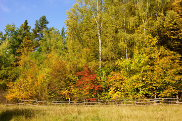 Autumn colors of nature.