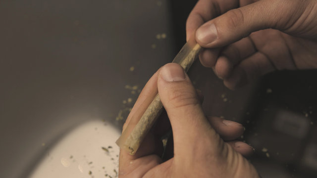 rolling  joint with weed buds close-up. Smoking culture in the world - a person is holding a cigaret