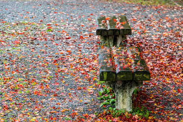 Empty benches in autumn park with fallen leaves.