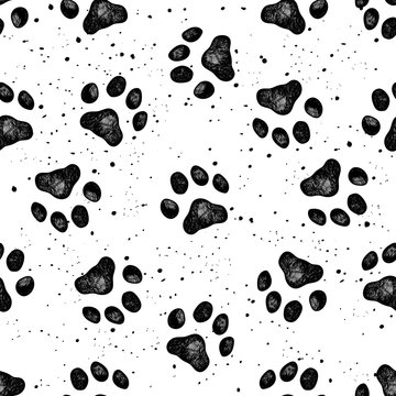 Paw of dog print vector Vexture