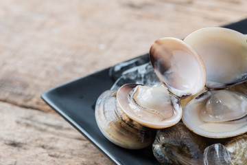 Fototapeta na wymiar Fresh enamel venus shell edible saltwater clams