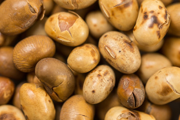 Closeup macro of soya beans on the white marble background