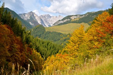 Autumn mountains and forest with isolated small wooden house/cottage. Photo from Lofer area, Austrian Alps.