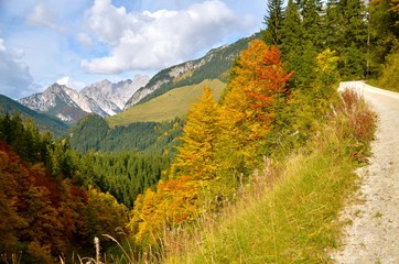 Autumn landscape scenery (mountains with snow, colorful deciduous trees and conifers). Horizontal view from Austrian Alps, Lofer area. October sunny afternoon.