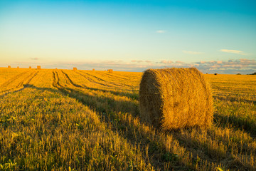 Hay Straw Bale With Shadow On Agricultural Field On Blue Sky At Sunset Or Sunrise.